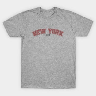 New York, USA T-Shirt